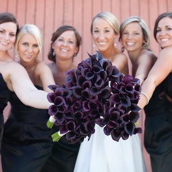 Bridal Party
