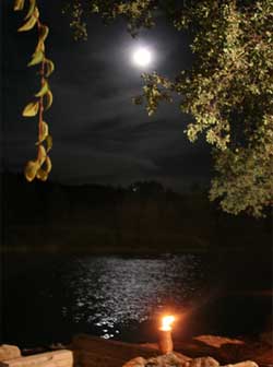 Moonlight on the lake
